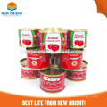 China Factory New Orient Product 28-30% Brix super natürliches Tomatenprodukt 70g Dose Konserven Tomatenmarksauce